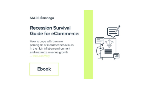 Recession Survival Guide for eCommerce: How to cope with the new paradigms of customer behaviours in the high inflation environment and maximize revenue growth … the Lean Way